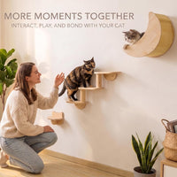 Cat Wall Shelves Set, Solid Wood Moon Bed - moon bed with 3-level stairs - image 2