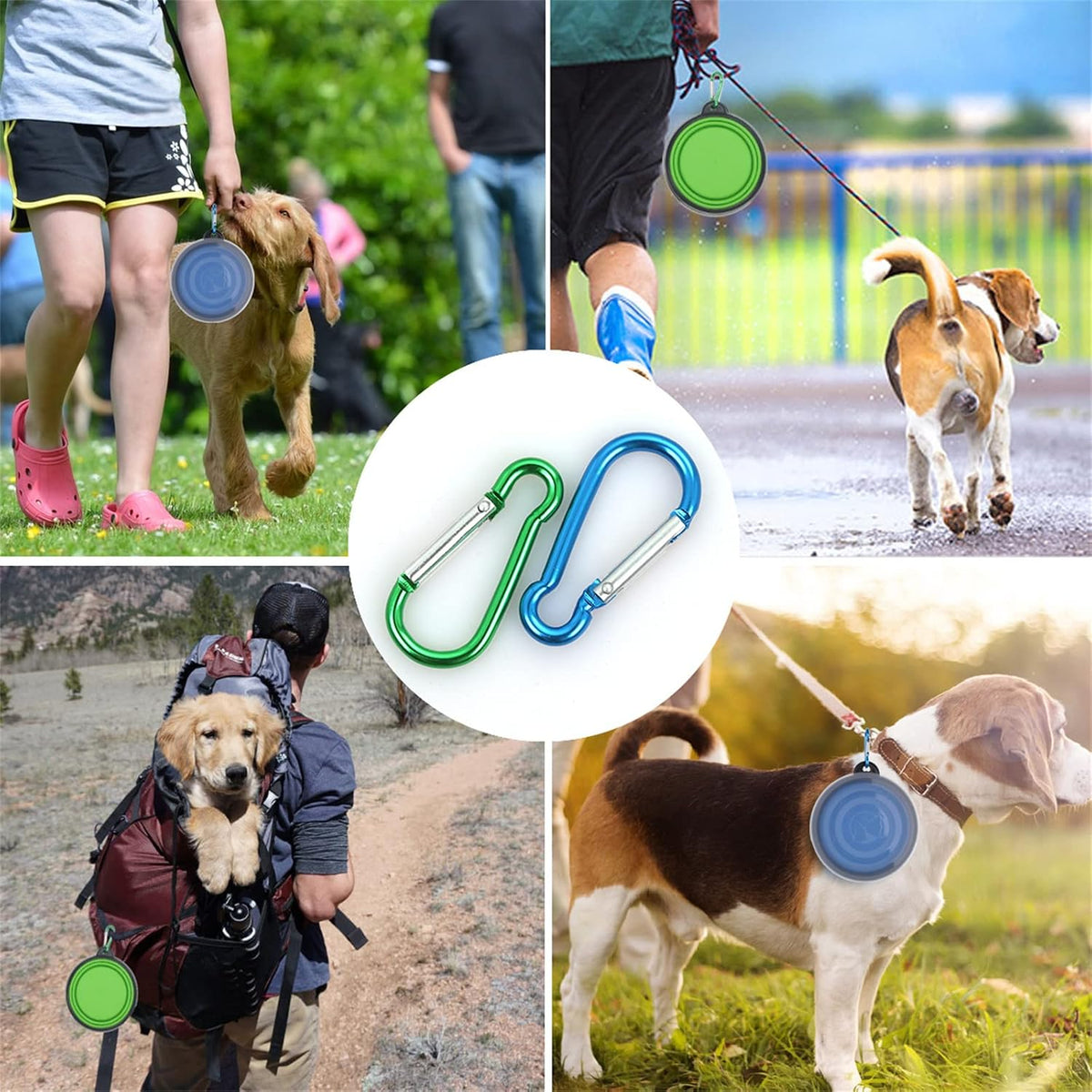 Collapsible Dog Bowl, with Lids - Small / Blue+Green - image 4