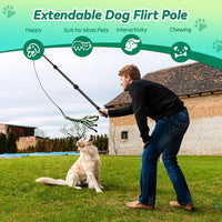 Flirt Pole for Dogs, Interactive Toys Tug-of-war for Pet - 2 switch-40.2Inch - image 4