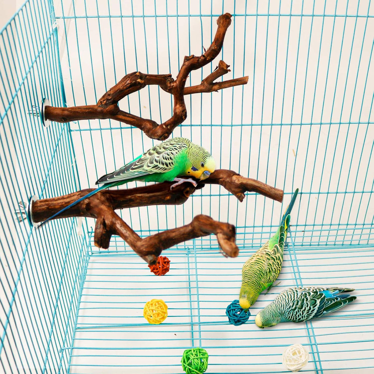 2 Packs Parrot Bird Perches - style-1 - image 4