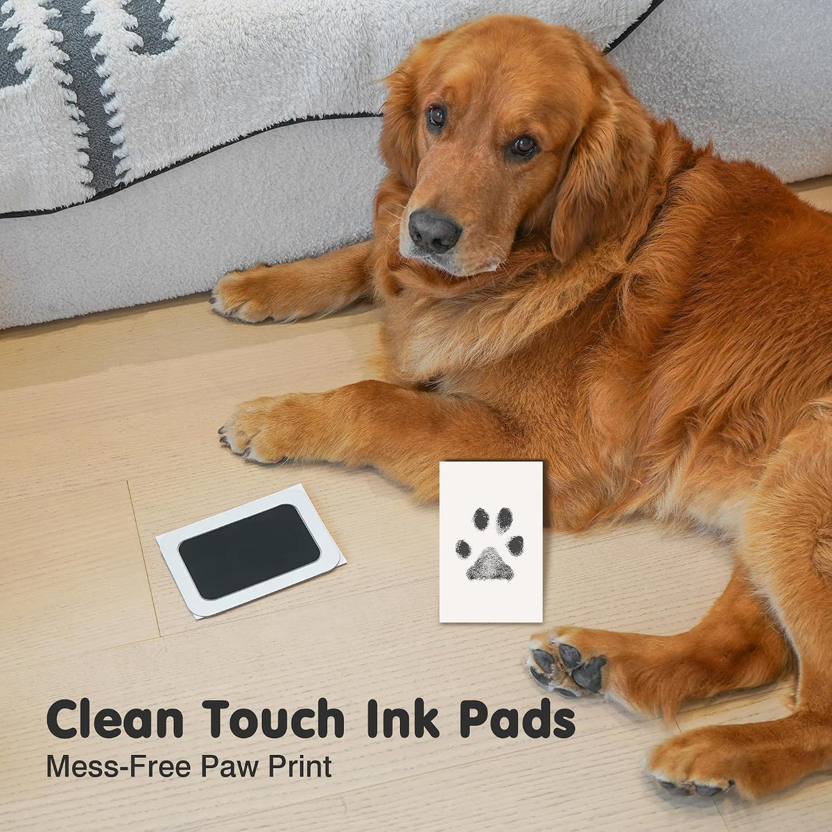 Inkless Paw Print Kit for Dogs, Cats & Babies - Black Pad,Black/White Wood Frame / 4-Pack,Medium - image 3