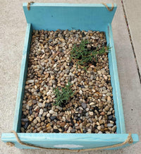Voulosimi 40 LBS River Rock Stones - 12 LB / Mixed Colors - image 4