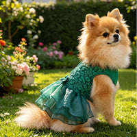ASENKU Dog Dress, Dog Wedding Dress with Bows, Veil Attachment - Green / X-Large - image 3