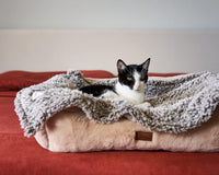 PET Parents Premium CAT, Puppy and Dog Blanket - 24"x32" / Slate - image 2