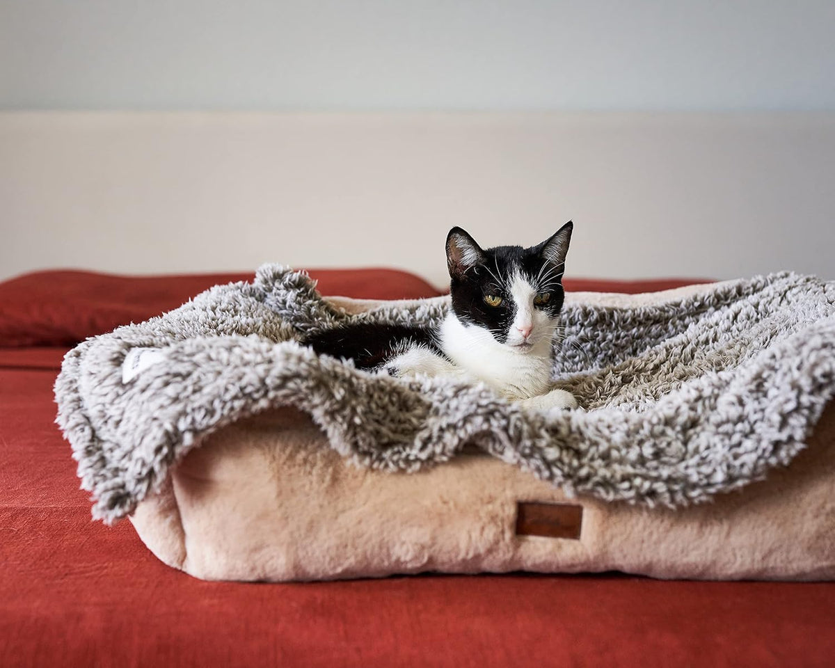 PET Parents Premium CAT, Puppy and Dog Blanket - 24"x32" / Slate - image 2