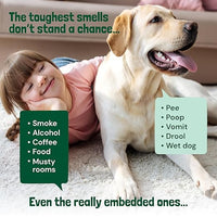 Sunny & Honey Carpet Deodorizer Powder - 20 Oz, Summer Lemonade Scent - Rug Cleaner & Carpet Cleaning Powder for Vacuuming & Upholstery Freshener for Pets & Kids