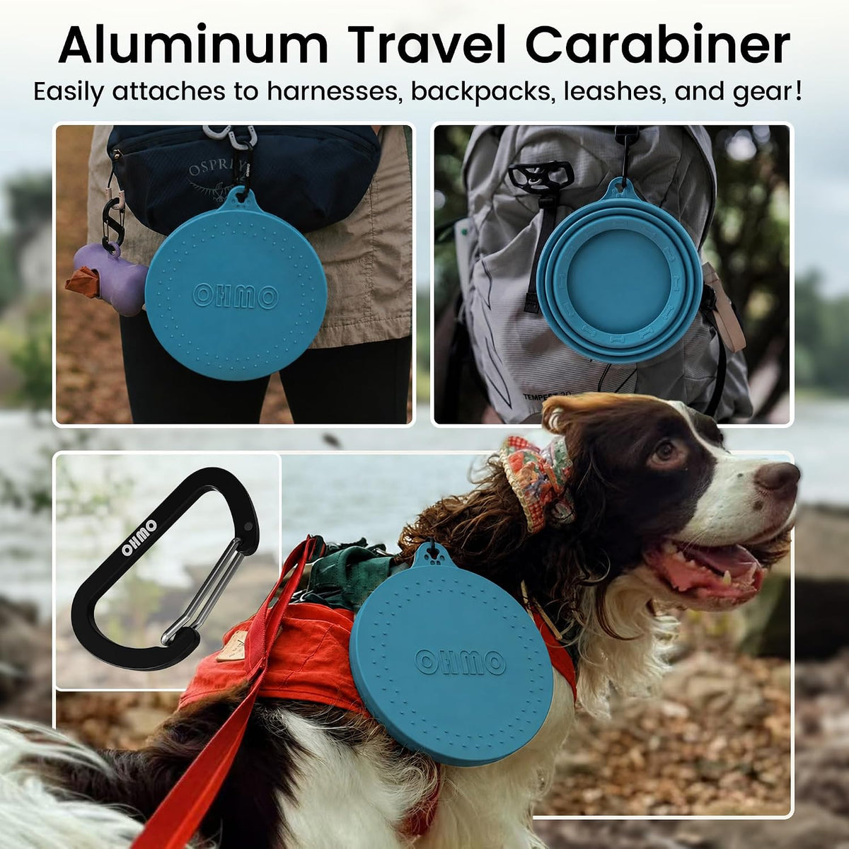 OHMO Spill Proof Collapsible Dog Bowl - 24oz / Peacock Blue - image 4