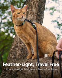 Adjustable Cat Harness and Leash Set Escape Proof – Essentials for Cats - Black, Adjustable - image 3