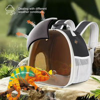 Bearded Dragon Travel Carrier, Lizards Carrier - Black-Polarize / Backpack - image 4