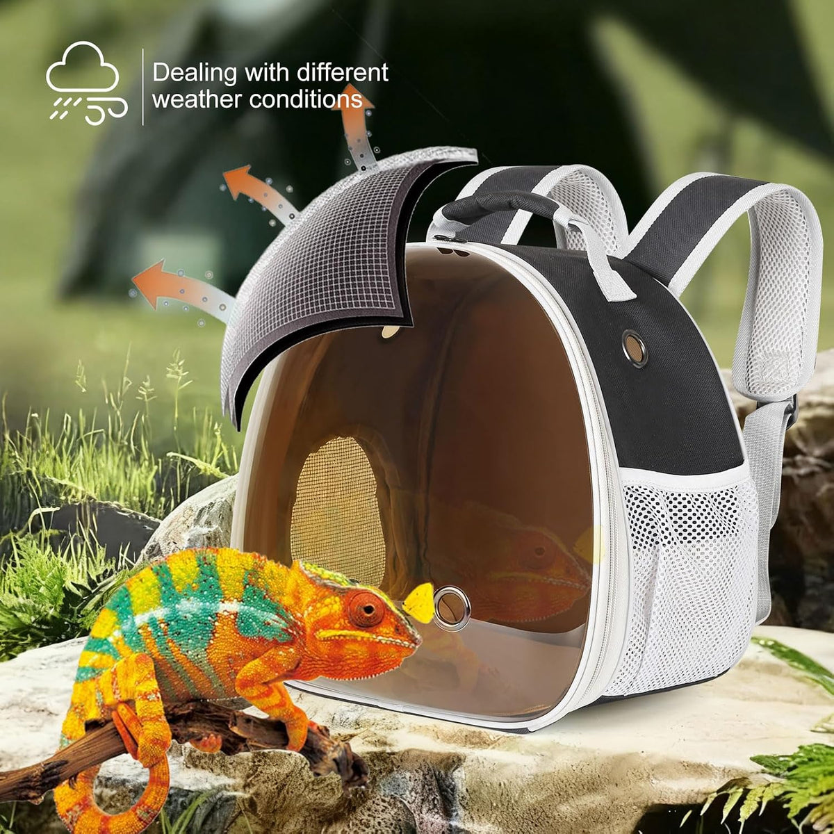 Bearded Dragon Travel Carrier, Lizards Carrier - Black-Polarize / Backpack - image 4