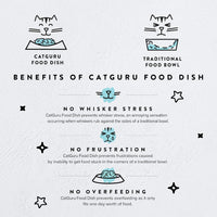 CatGuru Cat Food Bowl, Ceramic Bowls for Indoor Cats - Set of Two / Torus Aruba - image 2