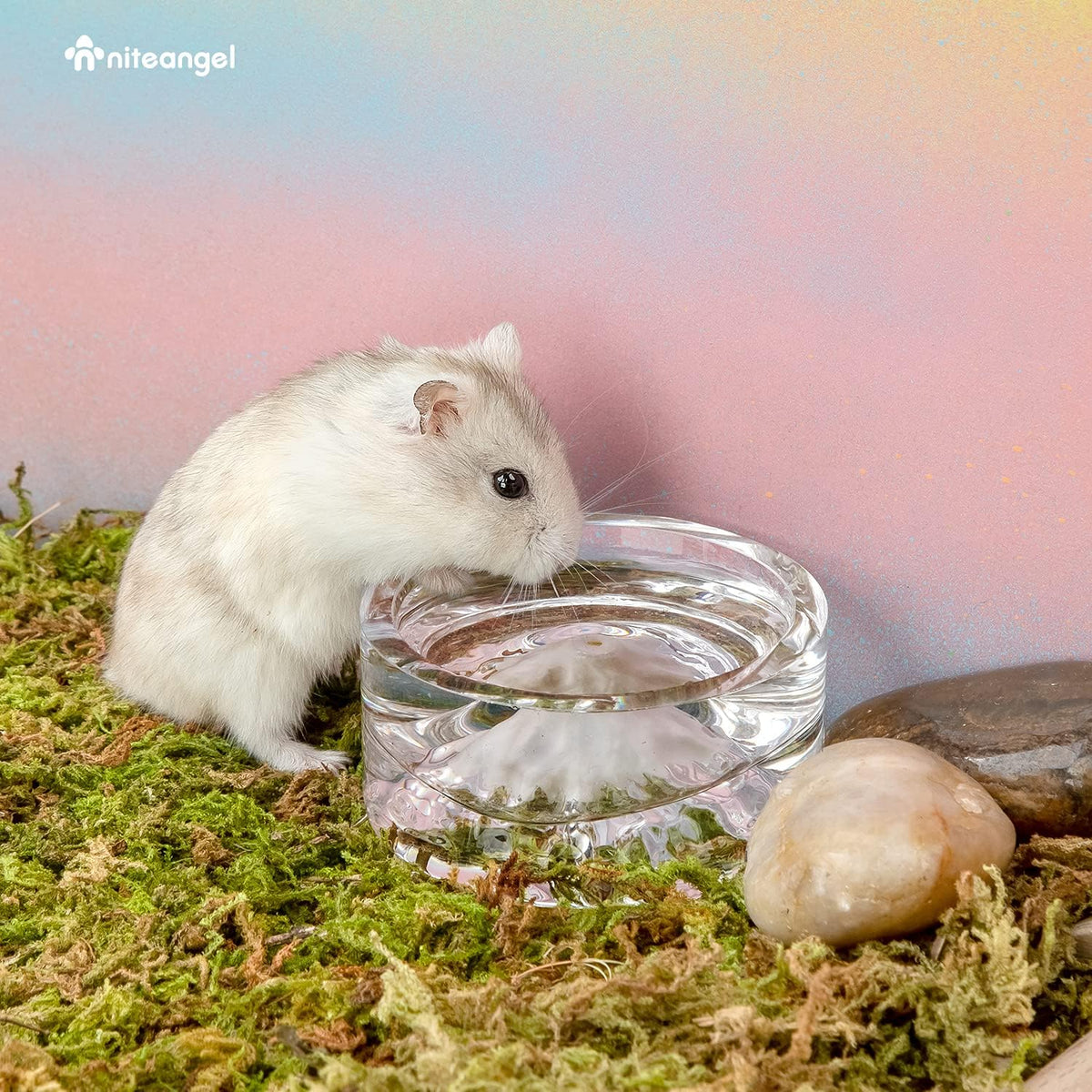 Niteangel Hamster Feeding & Water Bowl - White - image 3