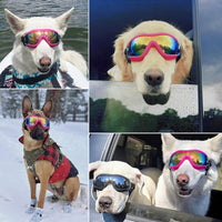 Medium Clear Dog Goggles Eye Protection - Style Pink / Large - image 2