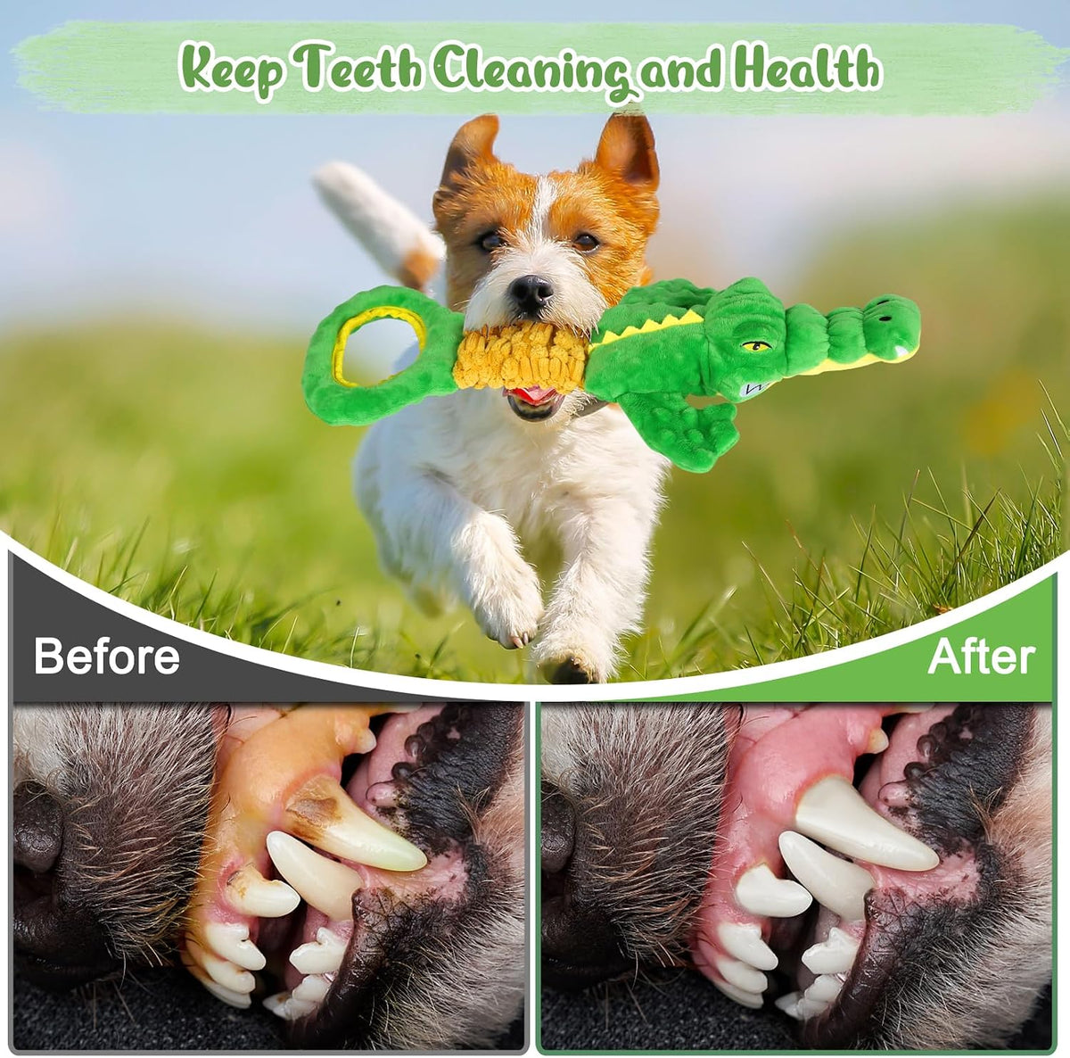 Dog Toys 3-Pack Cute Duck Shapes Puppy Toys No-Stuffing Squeaky - Green01 / Alligator - image 4