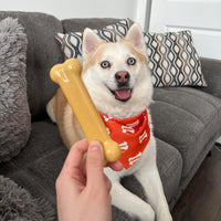 Nylabone Power Chew Original Bone Dog Chew Toys - Peanut Butter / Medium - image 2