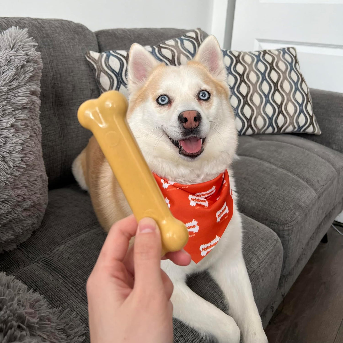 Nylabone Power Chew Original Bone Dog Chew Toys - Peanut Butter / Medium - image 2