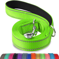 Joytale Reflective Dog Leash for Medium & Large Dogs - 5 ft Standard / Green