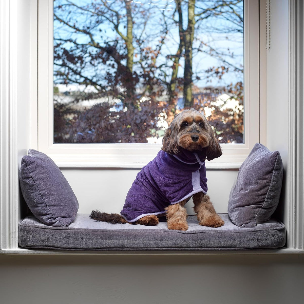 Lucky Pooch Dog Robe, Luxurious Dog Bathrobe - XL / Aubergine - image 3