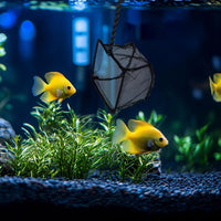 Mogoko 2 Pack Aquarium Net Fish Net Small Net Multi-Size Fine Mesh - 3. Black / 4 Inch - image 4