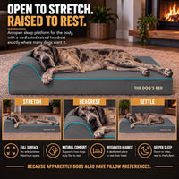 The Dog’s Bed Orthopedic Memory Foam Dog Bed with Headrest XL 6-Inch – Essentials for Dogs - Grey with Blue Trim / XXL (54"L x 36"W x 6"Th) - image 4