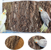 2 Pack 12 x 8 Inch 100% Natural Cork Perch - 16×12 Inches - image 3