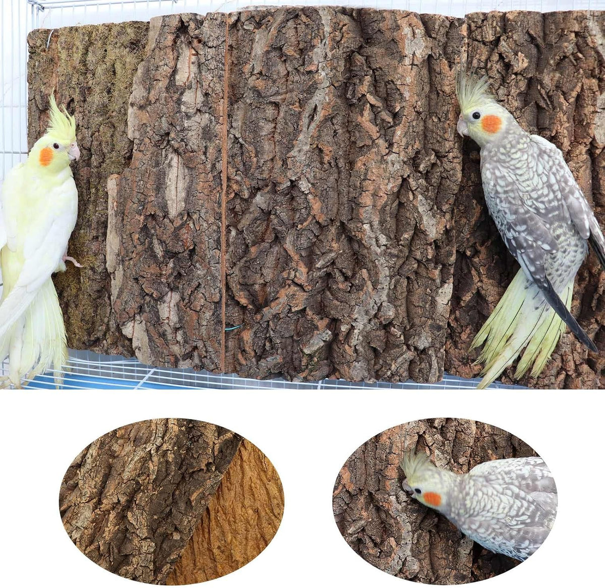 2 Pack 12 x 8 Inch 100% Natural Cork Perch - 16×12 Inches - image 3