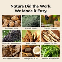 Ka’Chava Whole Body Meal Shake Matcha 2 lb – Vegan Protein Powder with 85+ Superfoods & Greens – Plant-Based Meal Replacement with Probiotics & Digestive Enzymes – Gluten & Dairy Free (15 Servings)