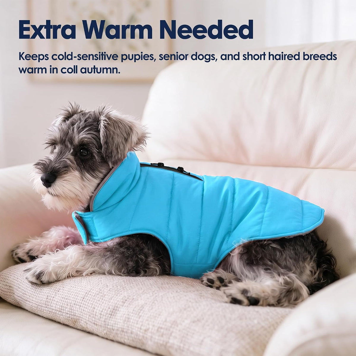 Waterproof Dog Winter Coat - Sky Blue / XL(Chest Girth:23.6-30.7") - image 4