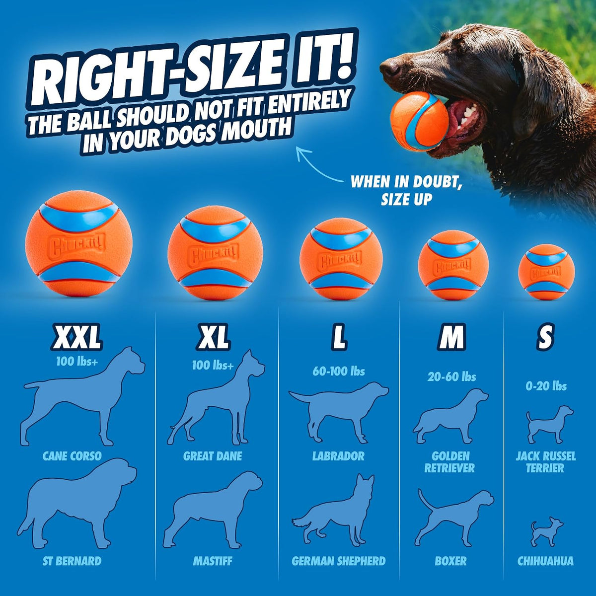 Chuckit! Sport 14S Manual Ball Launcher for Small Dogs – Essentials for Dogs - Small Ball (2.0") / 14" Length Sport Launcher - image 3