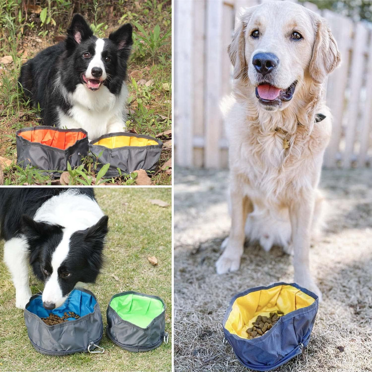 Collapsible Dog Travel Bowl - Orange and Yellow - image 2