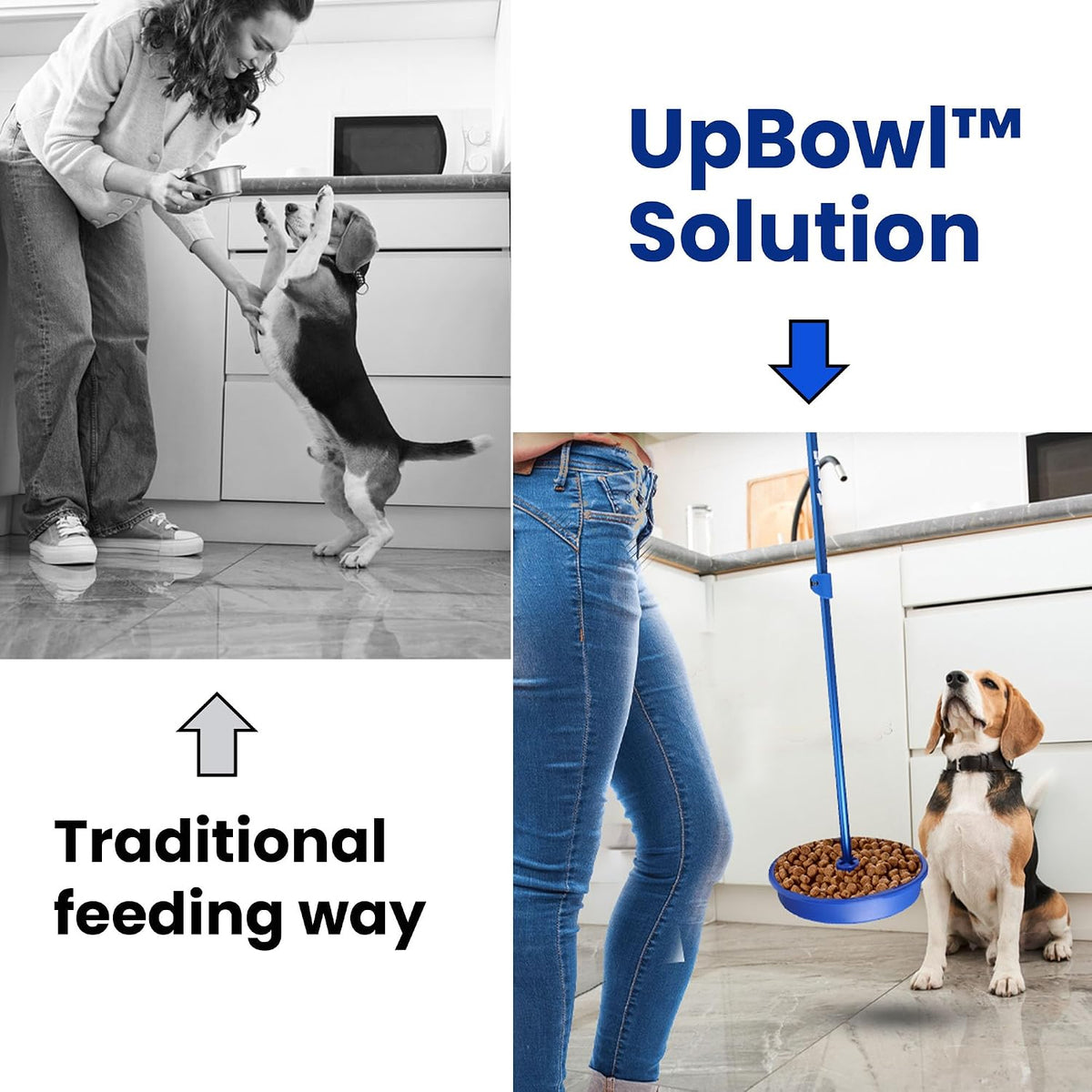 UpBowl No Bend Pet Bowl Kit, Pole & 2 Bowls, Easy Lift - 2 Bowls and Pole - image 3