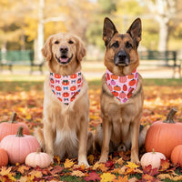 ADOGGYGO Pink Halloween Dog Bandanas Girl - X-Large / Pink Pumpkin - image 3
