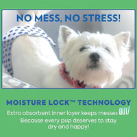 OUT! PetCare Disposable Male Dog Wraps, Puppy Pee Wraps, Belly Bands for Dogs, Leak Proof, Wetness Indicator, Puppy and Doggie Diaper for Peeing, Medium/Large, 32 Count