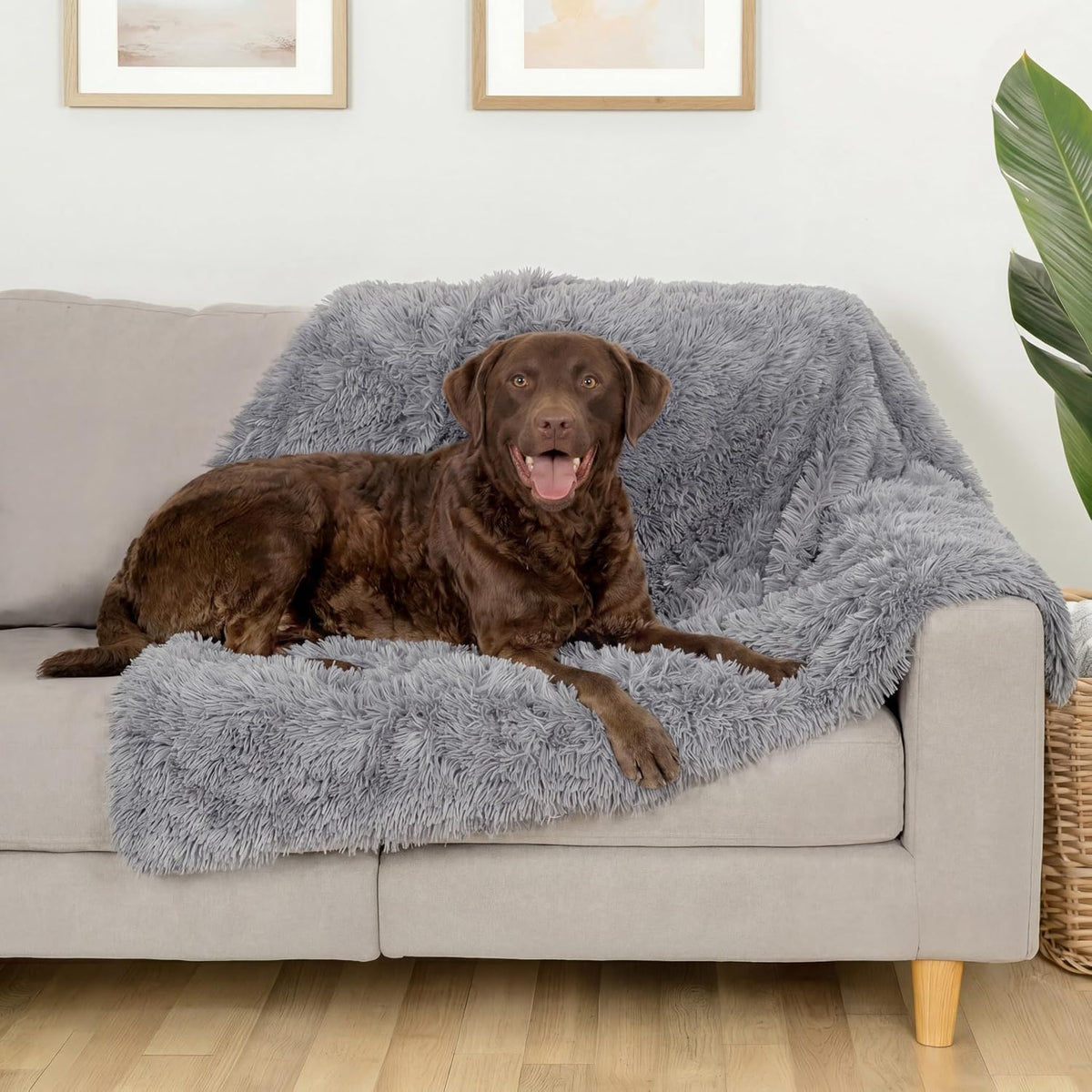 Furhaven Waterproof Throw Blanket for Dogs & Indoor Cats - Gray / Large - image 2