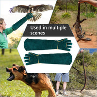 Animal Handling Gloves Bite Proof with 40inch Collapsible Snake Hook - image 2