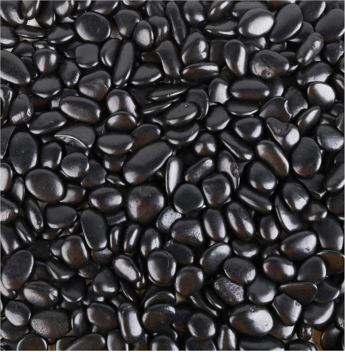 45lb White Rocks for Plants, Potting - 7LB / Black