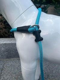 Slip Lead Dog Leash，Strong Nylon Rope Leash and Padded Handle,No Pull Outdoor Walking Training Lead for Small Medium Large Dogs(Blue,1/2"×4ft)