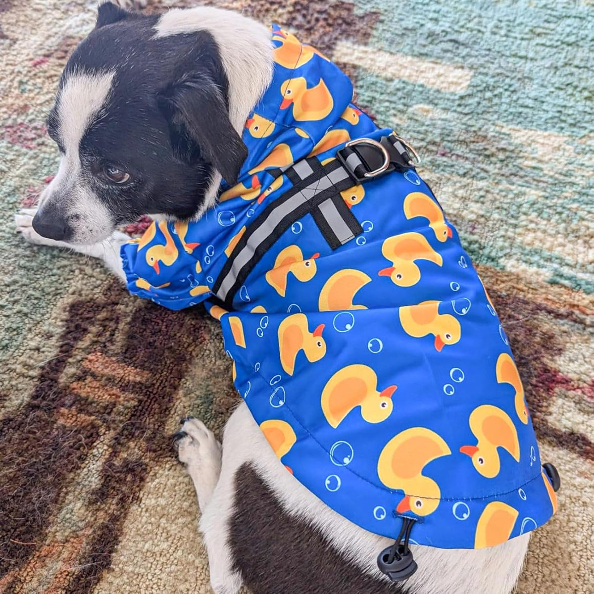Dog Raincoats for Medium Dogs, Waterproof Rain Jacket with Hood – Essentials for Dogs - Duck Blue / M(Back 15", Chest 22.5", Neck 16") - image 2