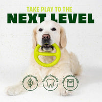 Benebone Natural Rubber Tug Interactive Dog Toy – Essentials for Dogs - Flat Tug / One Size - image 4