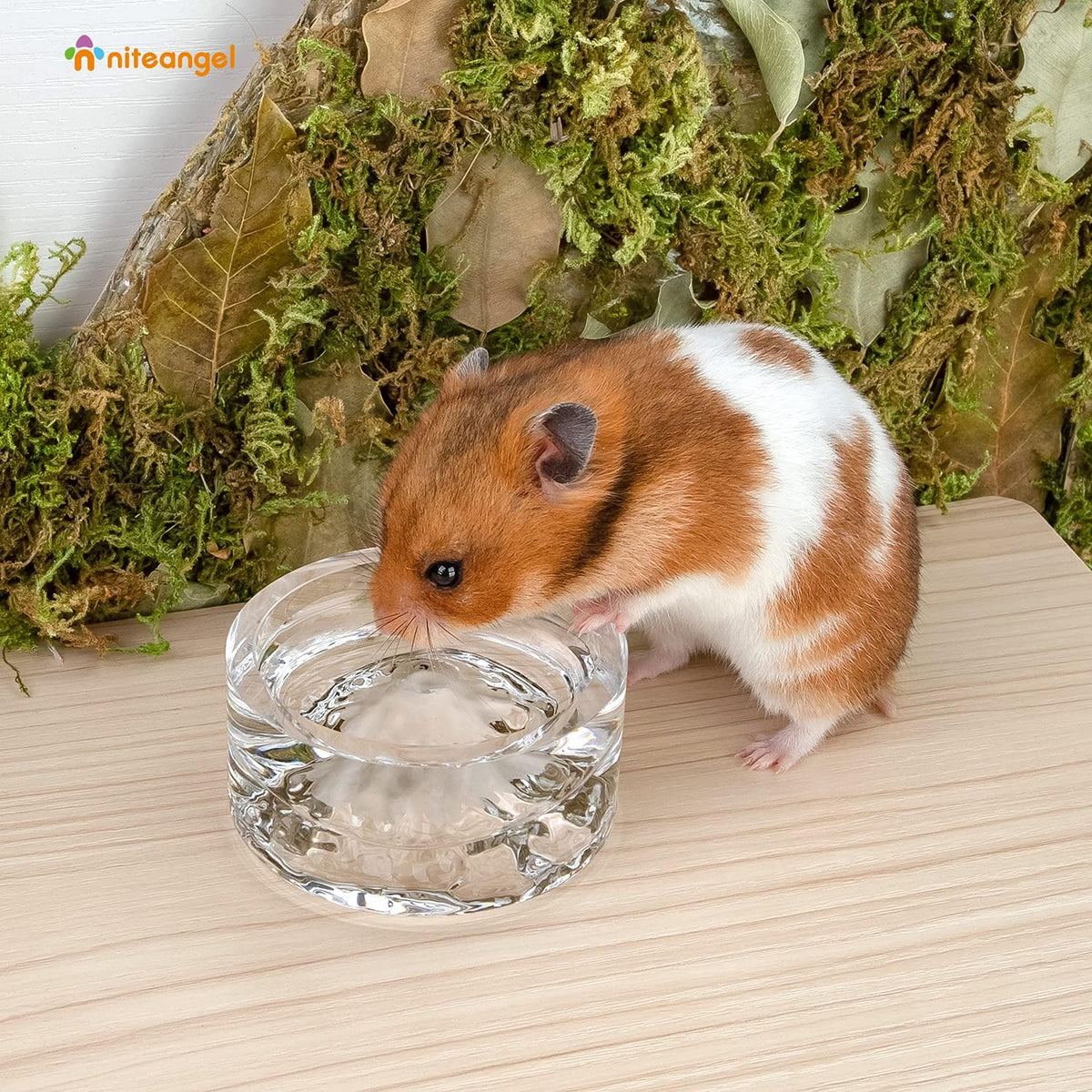 Niteangel Hamster Feeding & Water Bowl - White - image 4
