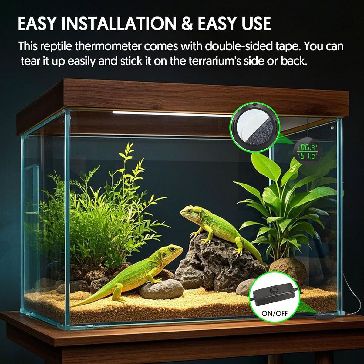 Reptile Thermometer and Humidity Gauge, Digital Display - Black - image 2
