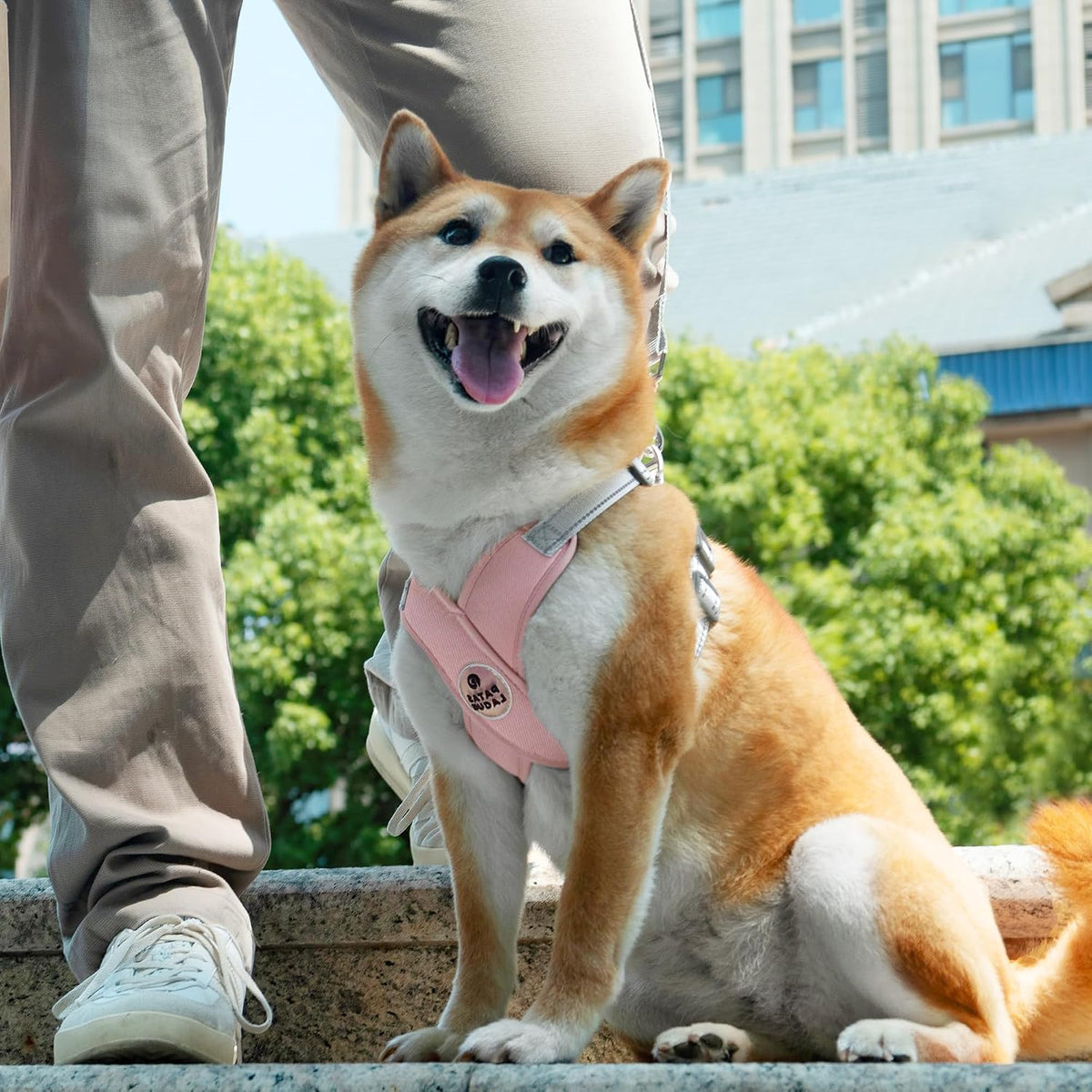 Patas Lague Dog Harness Medium Sized Dog Pet Vest with Leash Set Pink - Pink / M (Neck 19.3-23.3'' Chest 22.5-25.6'') - image 2