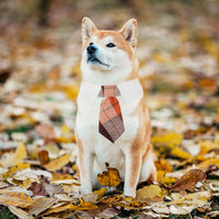 ADOGGYGO Fall Dog Neck Tie - Medium / Orange-2 - image 3