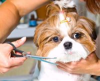 Pets First #1 Pet Grooming Scissors Body & Facial Trimmer Durable - image 2