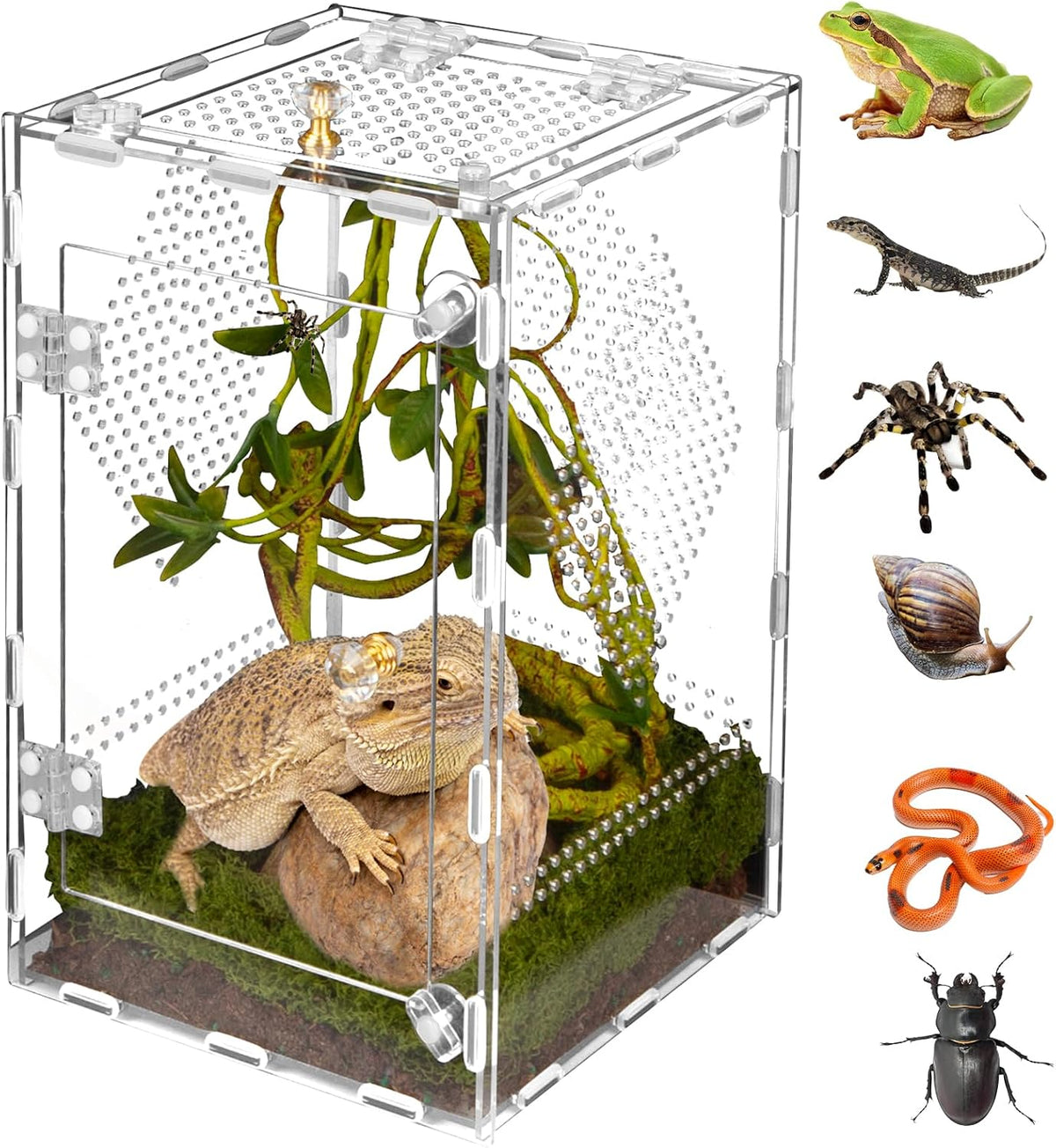 Acrylic Reptile Terrarium Easy Assembly - Large-11.8*7.9*7.9in