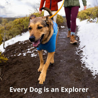 Ruffwear, Roamer Bungee Dog Leash - 5.5'-7' / Yellow Snow - image 2