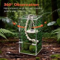 AZV Jumping Spider Enclosure Kit - Green / Small - image 2
