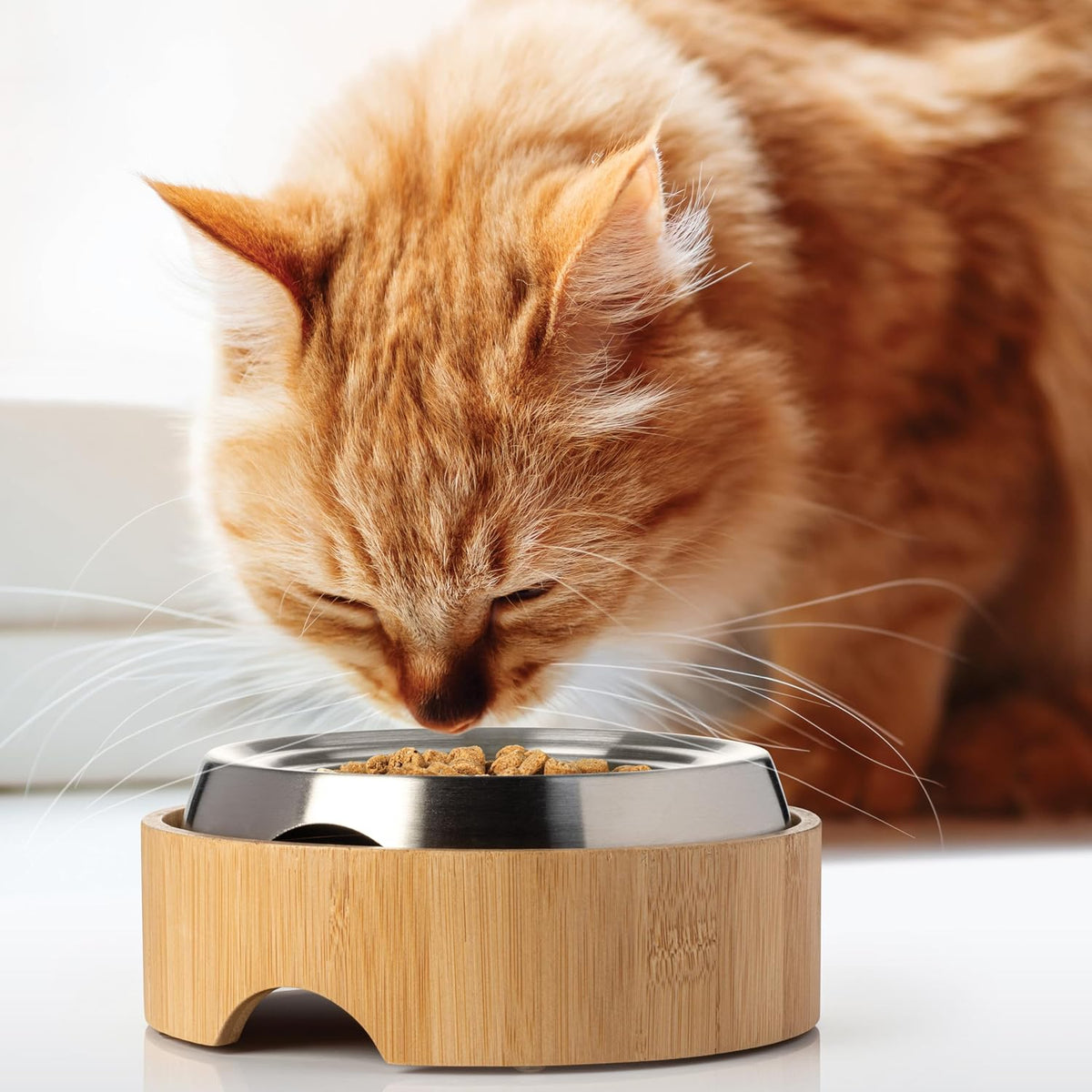 CatGuru Food Table for Cat Bowls - Standard / Bamboo - image 4