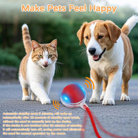 2025 New 3Pack Cat Ball Kitten Toys for Indoor Interactive Kitty Ball - 2PK - image 2