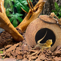 Lizard Coco Den with Ladder - 【Style A】 / 【No Ladder】 - image 2